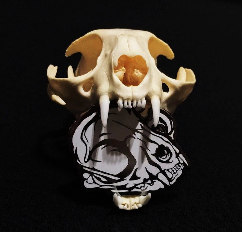 Limited Edition Hard Enamel Domestic Cat Skull Lapel Hat Pin Designed From Hand Drawn Art image 2