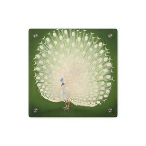 Peacock, Japanese, Art, acrylic glass prints, acrylic glass art, artwork on acrylic glass, bathroom art, acrylic glass prints, funny decor