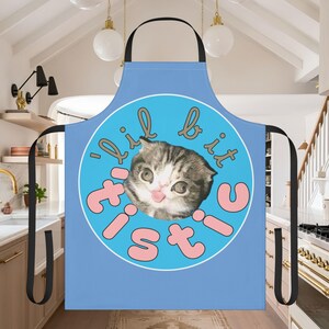 Lil Bit &#39;Tistic, Geschenk für einen Bäcker, Geschenkideen für Köche, Kochgeschenke, lustige Schürze für Jungs, lustige Schürze, Grillschürze