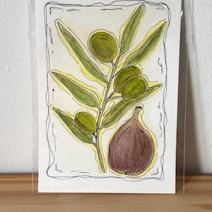 Hand-painted watercolor illustrations - Figs and Olives