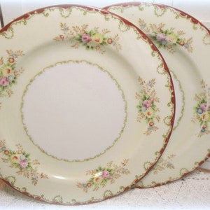 Vintage Empress china hand painted set of TWO 10" plates EMP 131 Roses
