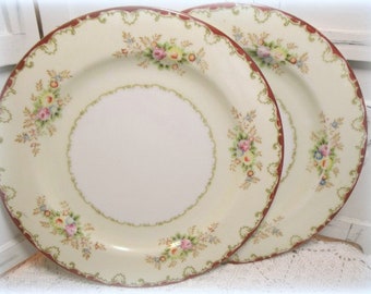 Vintage Empress china hand painted set of TWO 10" plates EMP 131 Roses