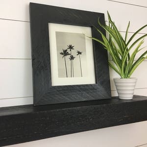May include: A black floating shelf with a black framed print of palm trees and a potted green plant on top.