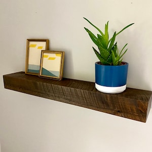 May include: A dark brown wooden shelf with two framed pictures and a potted succulent plant. The pictures are in gold frames and have abstract designs in yellow, blue, and white. The succulent plant is in a blue and white ceramic pot.
