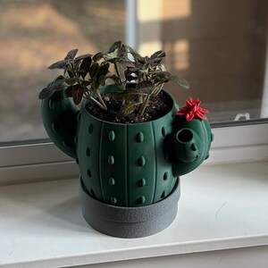 Self Watering Cactus Planter | Funny Cactus Pot | Indoor Succulent Planter | Cute Desk Decor | Modern Plant Pot | Gift for Plant Lovers