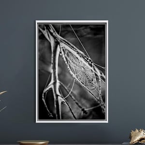 Natuurweb canvaskunst, spinnenweb canvas decor, kunst aan de muur wordt afgedrukt, moderne wandkleden, ingewikkelde web muurkunst, gepersonaliseerde geschenkdoos,