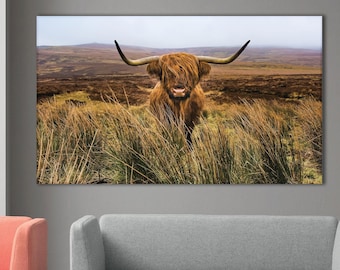 May include: A canvas print featuring a Highland cow in a field of tall grass. The cow has long, shaggy brown fur and large horns. The background shows a landscape of rolling hills under a cloudy sky. The artwork is displayed above a gray sofa.