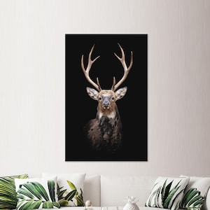 Deer Photo Canvas Wall Art: Farmhouse Animal Decor