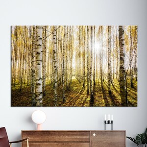 Birch Forest Canvas Print: Modern Landscape Wall Art