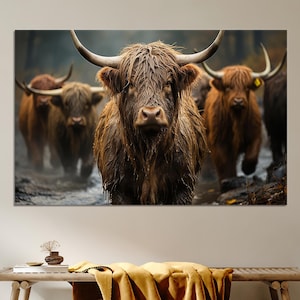 May include: A close-up of a brown Highland cow with long, shaggy hair standing in a stream. The cow is looking directly at the camera with a serious expression. There are other cows in the background.