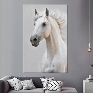 Personalized White Horse Canvas Art: Animal Wall Art Prints
