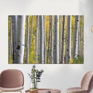 Birch Grove in the Forest, Canvas Wall Art, Birch Grove Wall Decor, Forest Wall Decor, Tree Canvas, Tree Landscape Print, Farmhouse Decor,