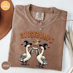 a couple of birds that are on a shirt