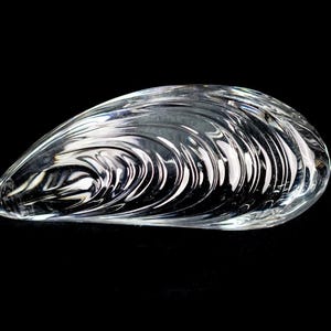 Puede incluir: Una escultura de vidrio transparente e incoloro con forma de concha de mejill&oacute;n. El objeto presenta una superficie lisa y curva con intrincadas crestas moldeadas que imitan la textura natural y las l&iacute;neas de crecimiento conc&eacute;ntricas.
