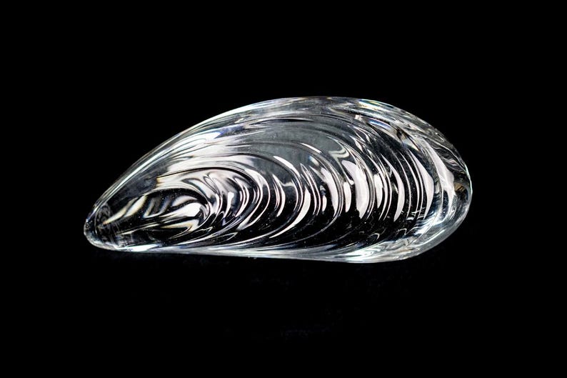 Puede incluir: Una escultura de vidrio transparente e incoloro con forma de concha de mejill&oacute;n. El objeto presenta una superficie lisa y curva con intrincadas crestas moldeadas que imitan la textura natural y las l&iacute;neas de crecimiento conc&eacute;ntricas.