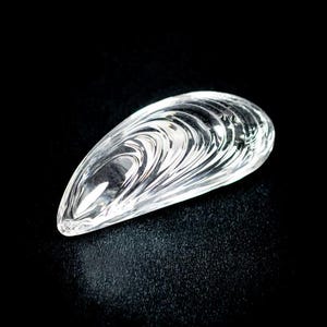 Puede incluir: Un objeto de vidrio transparente en forma de concha de mejill&oacute;n. La superficie presenta crestas intrincadas, elevadas y en espiral que imitan la textura natural de una concha de molusco, creando una apariencia reflectante y brillante.