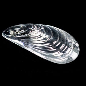 Puede incluir: Un objeto de vidrio transparente con forma de concha de mejill&oacute;n. La superficie presenta crestas curvas moldeadas que siguen los contornos naturales de una concha, creando una textura reflectante que capta la luz en toda la pieza.