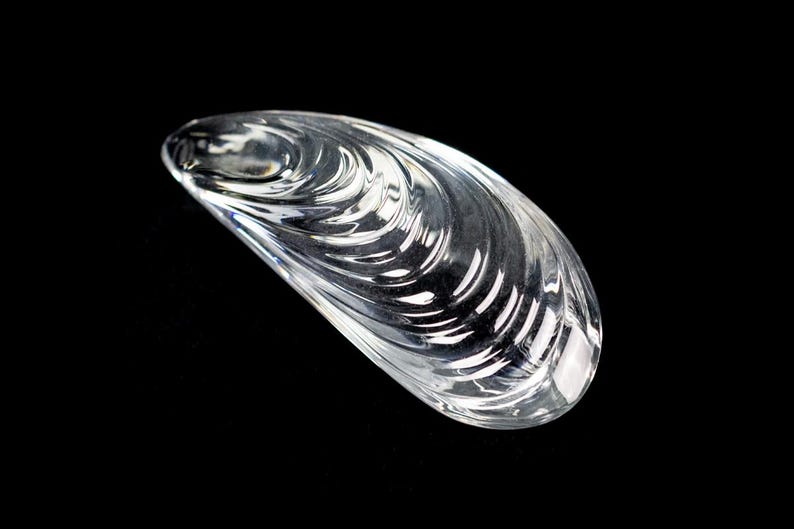 Puede incluir: Una escultura de vidrio transparente e incoloro con forma de concha de mejill&oacute;n. El objeto presenta una superficie lisa y pulida con crestas curvas distintivas que imitan la textura natural de una concha bivalva, reflejando la luz.