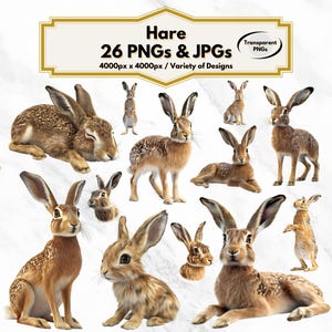 Hare Clipart, Woodland Animal Illustration, Hare PNG, Wildlife Art, Forest Animal Graphics, Nature Decor, Scrapbooking, Digital Download