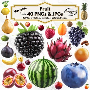 Clipart owocowy, PNG owocowy, JPG owocowy, Clipart tropikalny owocowy, PNG cytrusowy, Clipart świeży owocowy, Clipart żywności, Clipart zdrowej żywności