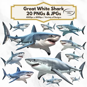 Great White Shark Clipart, Great White Shark PNG, Shark Clipart, Shark Png, Marine Life Clipart, Ocean Clipart, Sea Creature Clipart