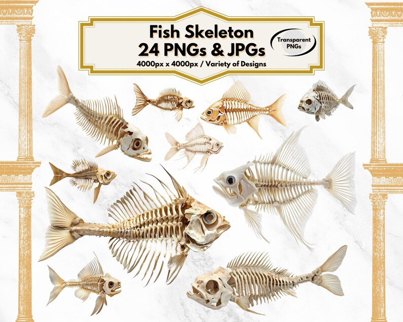 Fishbone Skeleton Image Fish Skeleton Clipart, Fish Skeleton PNG, Fish Skeleton JPG, Skeleton ...