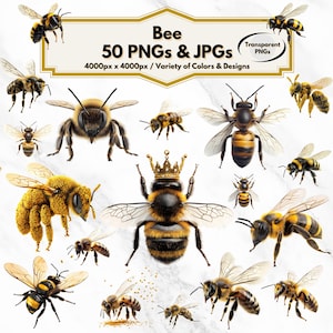 Clipart pszczoły, pszczoła PNG, pszczoła JPG, Clipart pszczoły miodnej, Clipart owadów, Ilustracja pszczoły, Obraz pszczoły, Clipart pszczoły miodnej, Clipart trzmiela