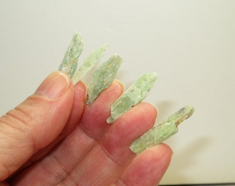 The Sacred Lotus Flower - Green Kyanite from Tanzania - 2014 Shipment