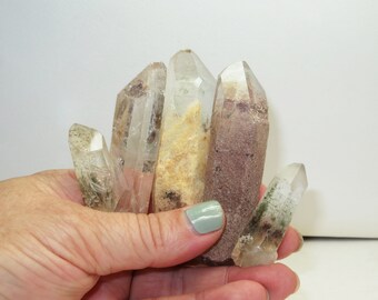 Set of 5 - Garden Quartz - Old Stock from 2008 - Multicolor Lodolite & Chlorite Phantom Inclusions Quartz Crystal Point - Brazil