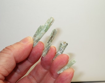 The Sacred Lotus Flower - Green Kyanite from Tanzania - 2014 Shipment