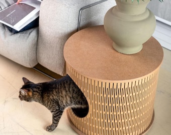 Modern side table and Pet house