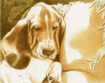 Basset Hounds set of three Art Card Collection for all occasions Free Shipping