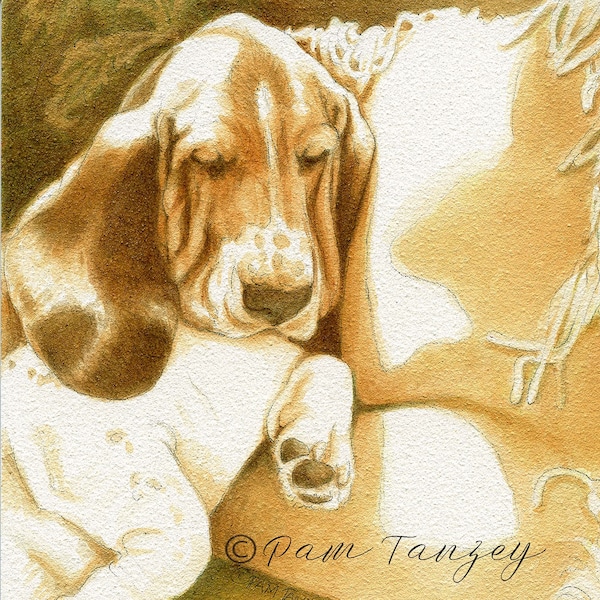 Basset Hounds set of three Art Card Collection for all occasions Free Shipping