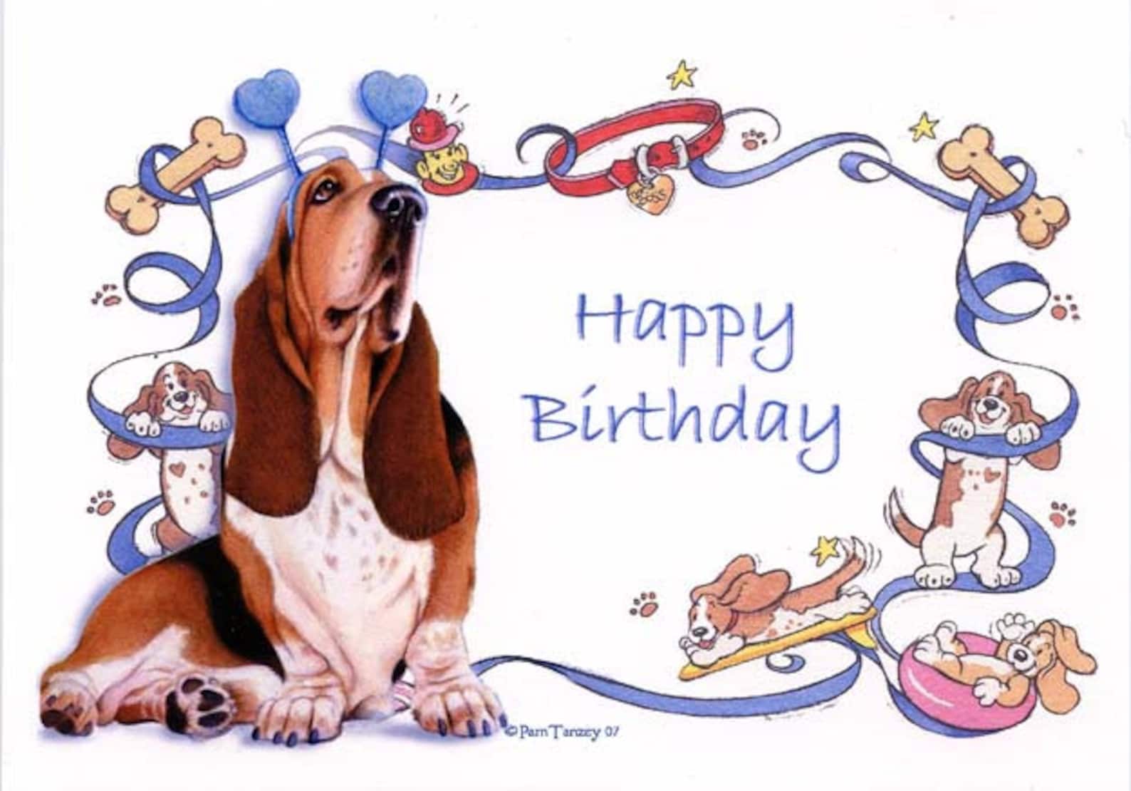 Basset Hound Birthday Celebration 3 Card Collection Blank Inside Etsy