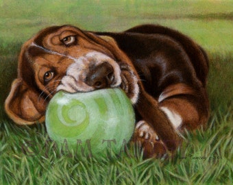 Basset Puppy My Ball Signed Print Free Shipping Free Matching card