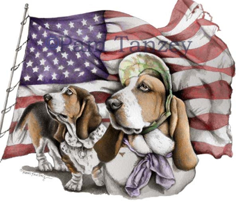 Basset Hound Patriotic 3 card Collection by Pam Tanzey Free Shipping image 2