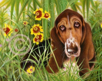 Basset Hound art Signed Print Free Shipping Wildflowers with free card Great gift for Basset Lovers