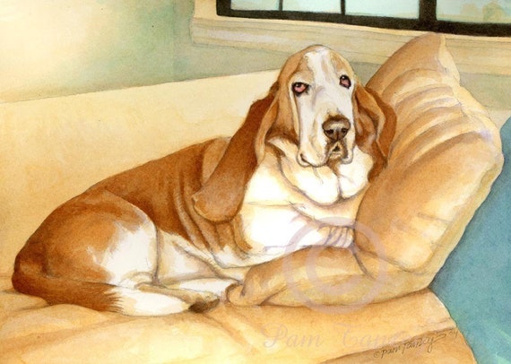 free basset hound