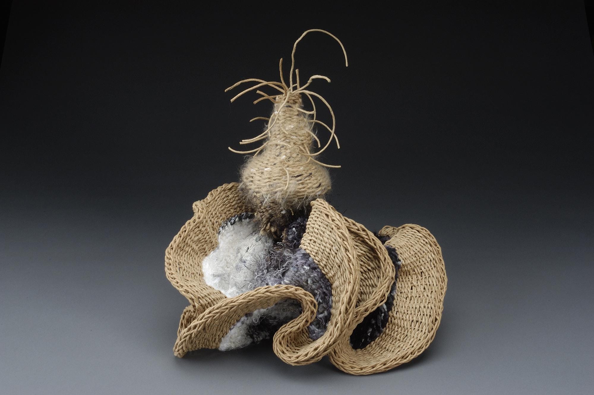 Woven Fiber Art Basket Sculpture: Mixed Fibers, Paper Rush
