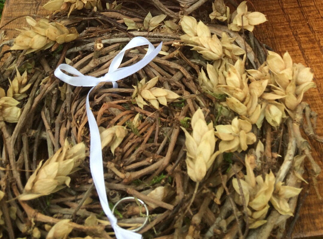 Hops Ring Bearer, Beer Brewers Wedding, Hops Hornbeam, Eco Friendly ...