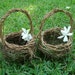 Owner of <a href='https://www.etsy.com/shop/BasketsByPamela?ref=l2-about-shopname&from_page=listing' class='wt-text-link'>BasketsByPamela</a>
