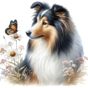 19 Images réalistes à l’aquarelle de chiens Sheltie – Clipart, PNG, Fond transparent, 2500x2500, 300 DPI, chiens mignons, animaux