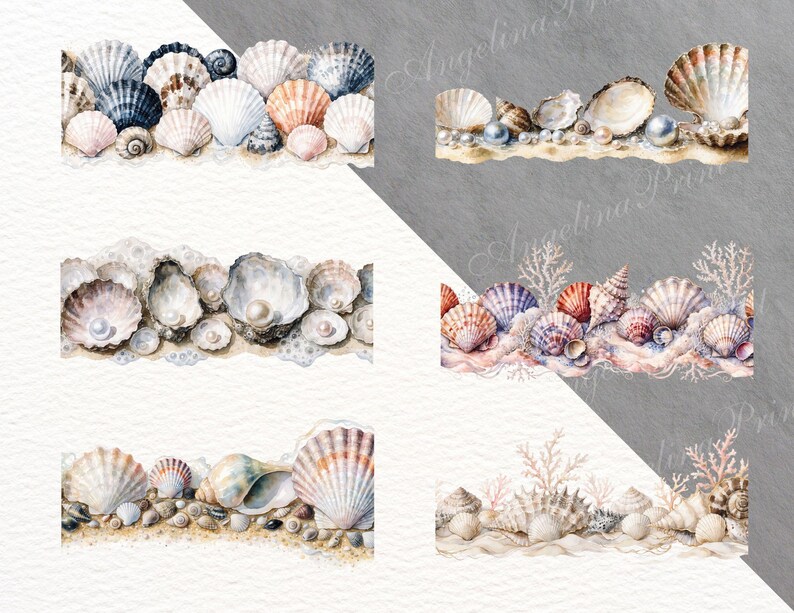 Seamless Seashell Borders PNG | Coastal Ocean Border Clipart | Coral ...