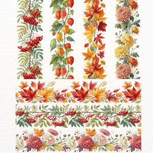 Könnte beinhalten: Aquarellillustrationen von dekorativen Bordüren mit Herbstmotiven. Die Designs umfassen leuchtend rote Beeren, orangefarbene Lampions und bunte Herbstblätter in Rot-, Gelb- und Orangetönen. Florale Elemente sind gelbe und pfirsichfarbene Chrysanthemen.