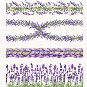 Puede incluir: Ilustraciones en acuarela de bordes y ramitas de lavanda. La imagen presenta cinco diseños diferentes, incluido un patrón trenzado y filas de flores de lavanda. La paleta de colores incluye tonos de morado, verde y blanco, creando un tema natural y floral.