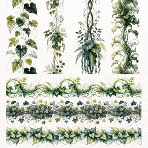 Könnte beinhalten: Aquarellillustrationen verschiedener grüner Weinreben und Blätter. Das Bild zeigt mehrere vertikale und horizontale Anordnungen von Blättern, darunter Efeu, Farne und andere Blattpflanzen. Das Kunstwerk hat eine weiche, natürliche Ästhetik mit Fokus auf botanische Details.
