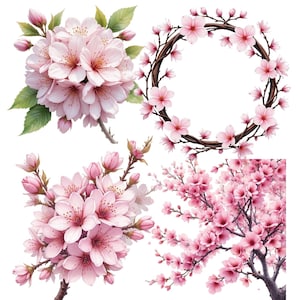 19 Clipart di Sakura ad acquerello – Fiori di ciliegio giapponesi, illustrazioni floreali, clipart di fiori di ciliegio, fiori di ciliegio giapponesi, fiori rosa