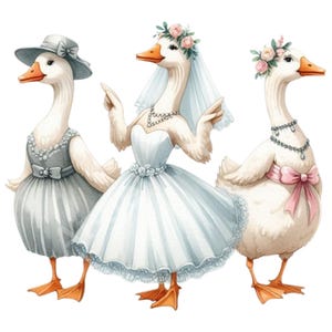 15 Aquarell-Hochzeitsgänse-Cliparts für Junggesellenabschiede, Junggesellenabschiede, PNG zum Drucken auf T-Shirts, Tassen, Kissen