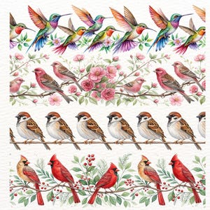 May include: Watercolor illustration featuring rows of colorful birds. Hummingbirds, finches, sparrows, and cardinals are perched on branches with flowers and berries. The artwork has a soft, artistic style with a white background.