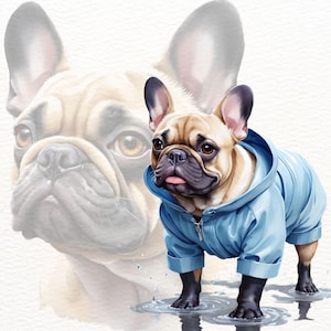 24 realistische Aquarell Französische Bulldogge Clipart PNG | Süße Hundeillustrationen zum Drucken | Frenchie Clipart, Französische Bulldogge, Haustier Clipart